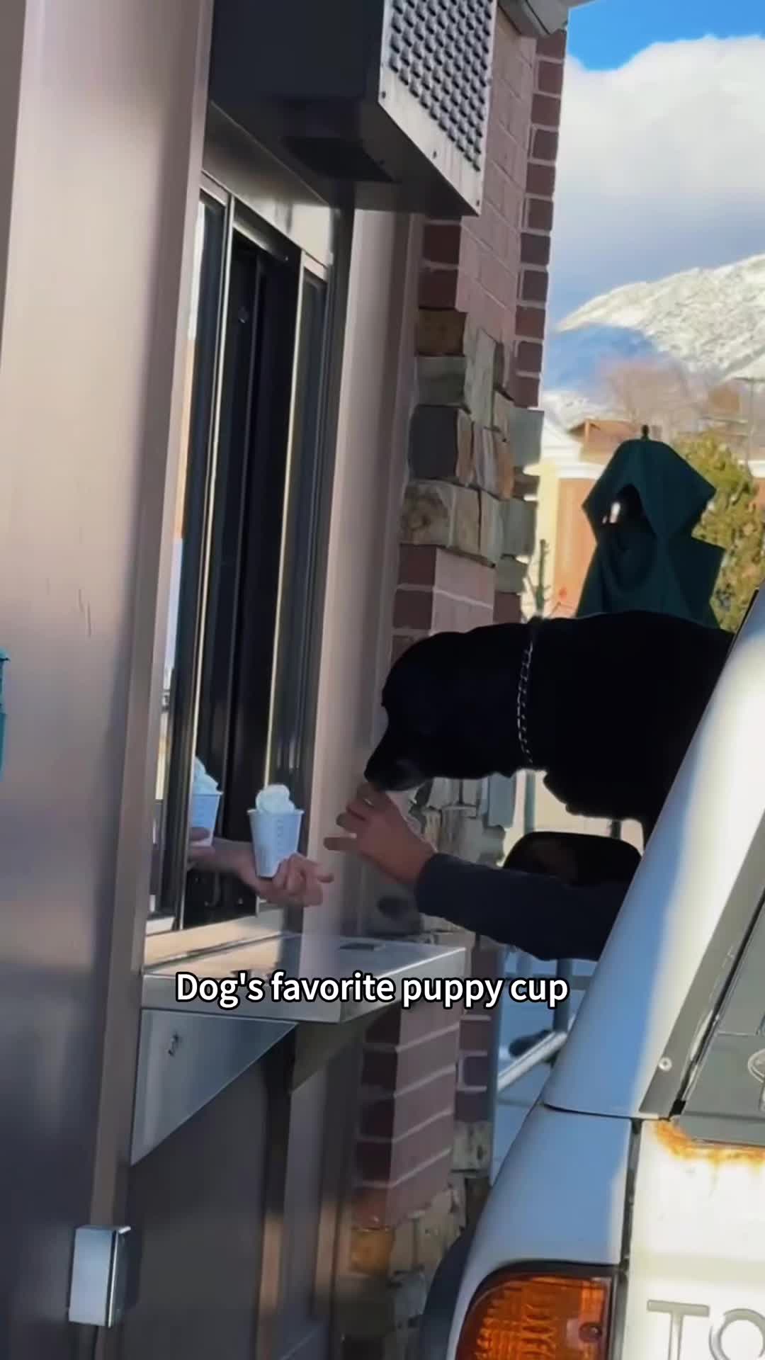 @GoofyGalloper