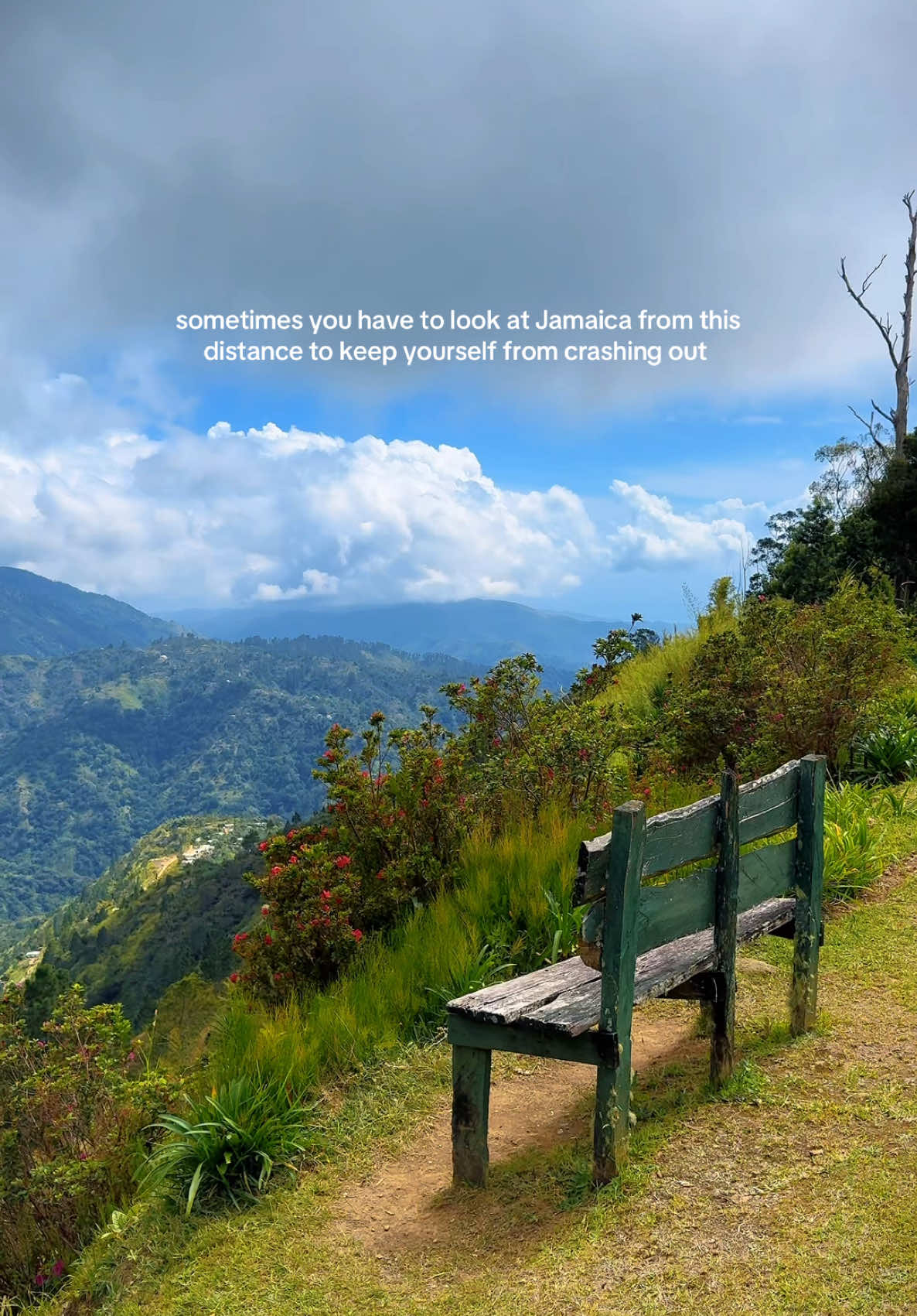 @Justin 🇯🇲
