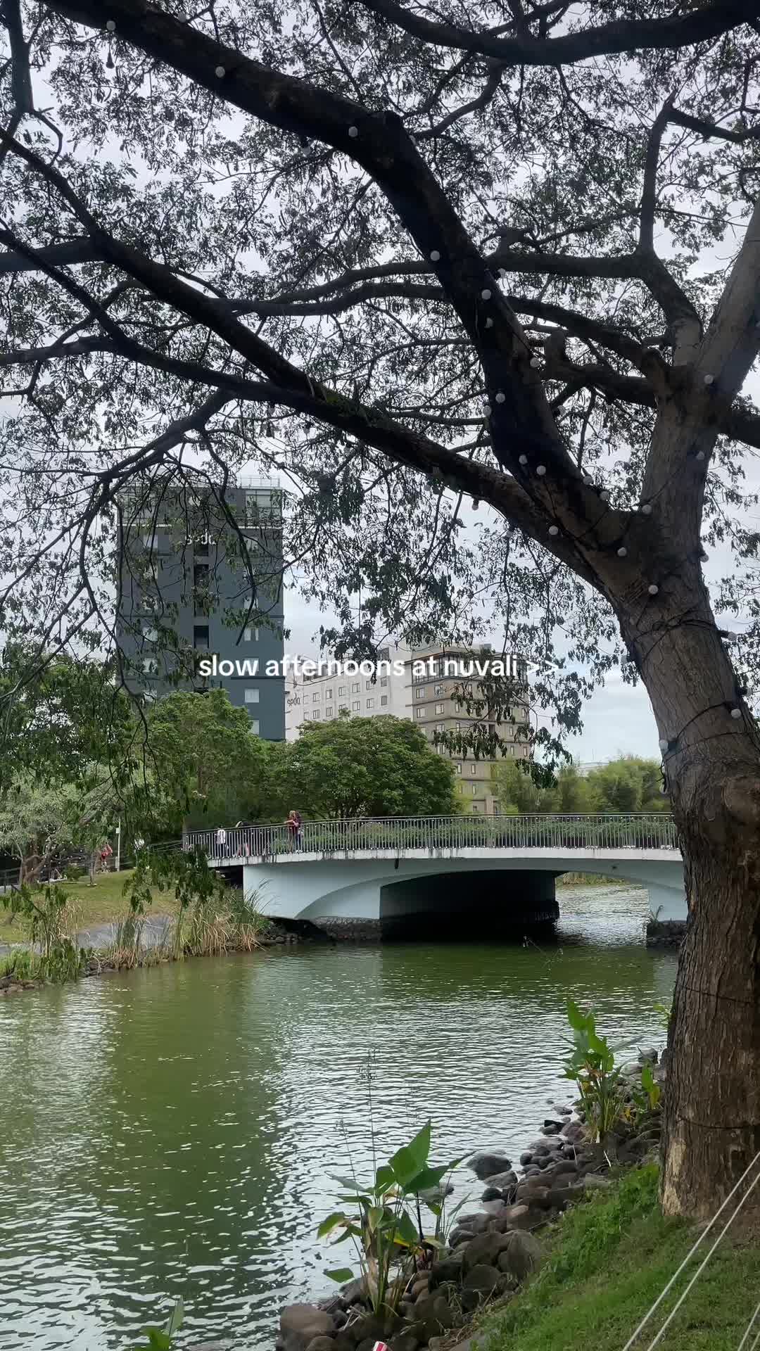 @cz