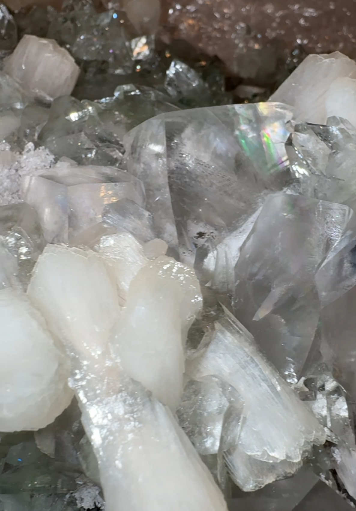 @Bella&rsquo;s Crystal collection