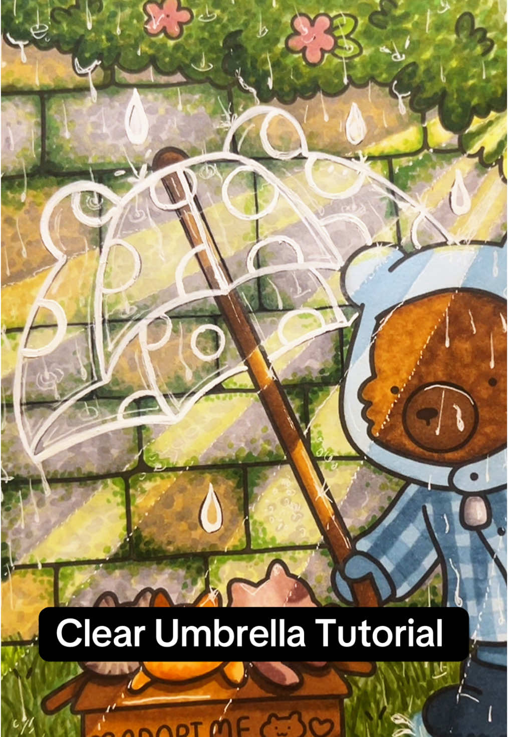 @CCColors