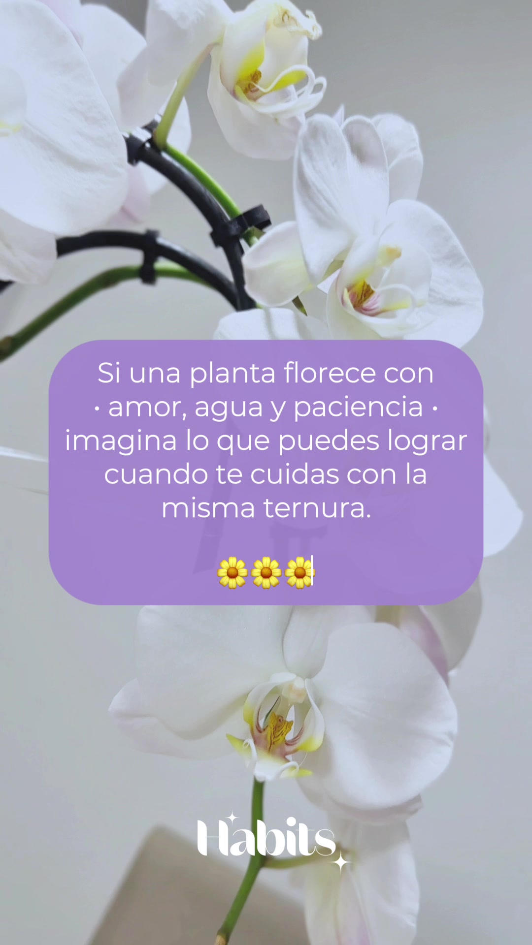 @Habits