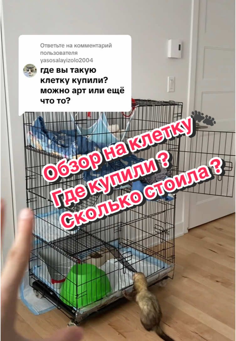 @F_u_r_e_t🐾✨🤍