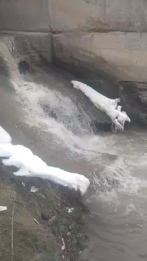 @fidansamet68