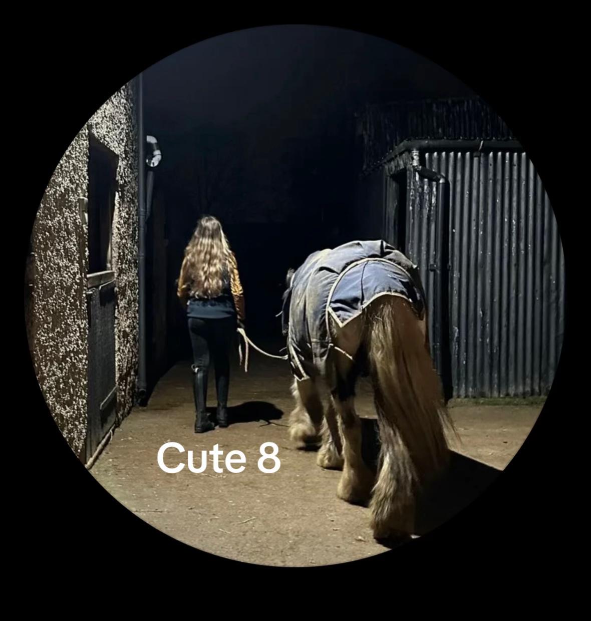 @Mia and the pony&rsquo;s 😍😍