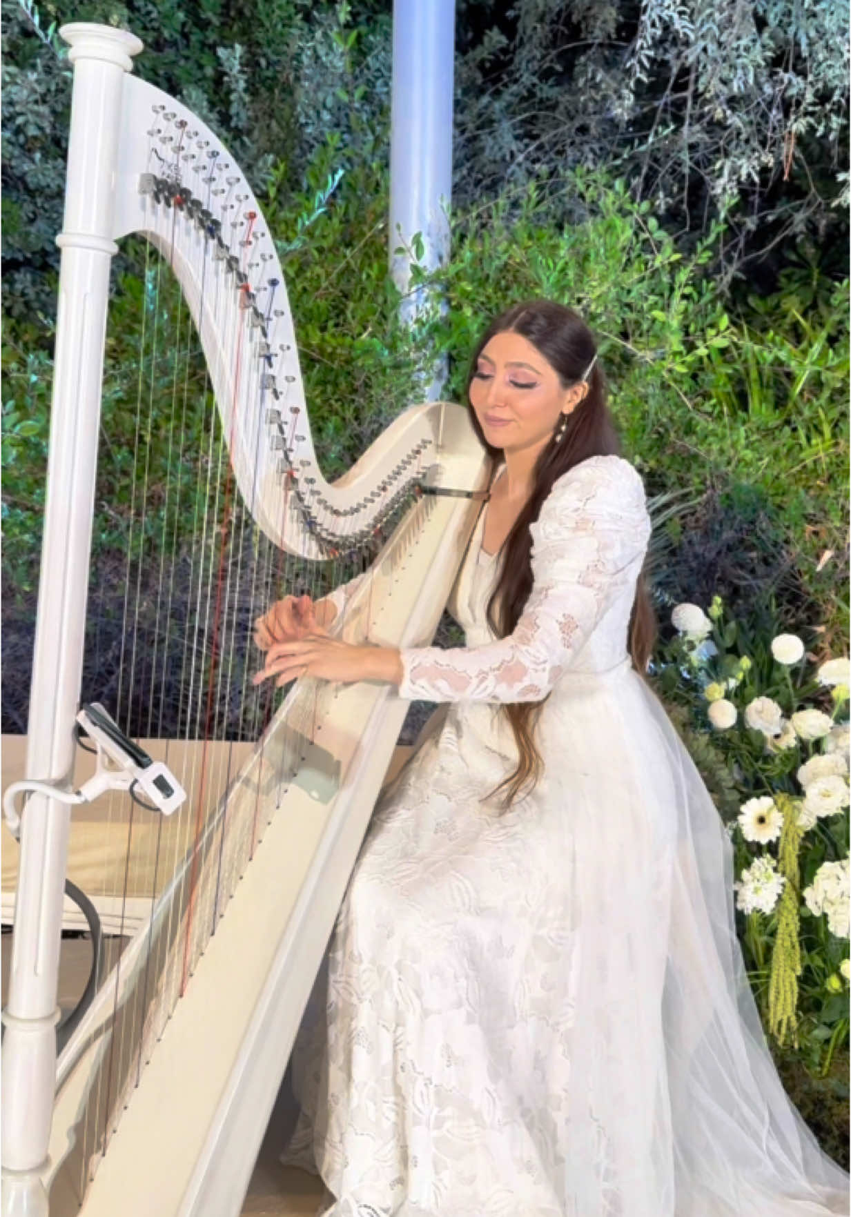 @harp.ae