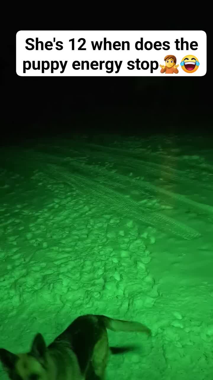 @Gi_1972