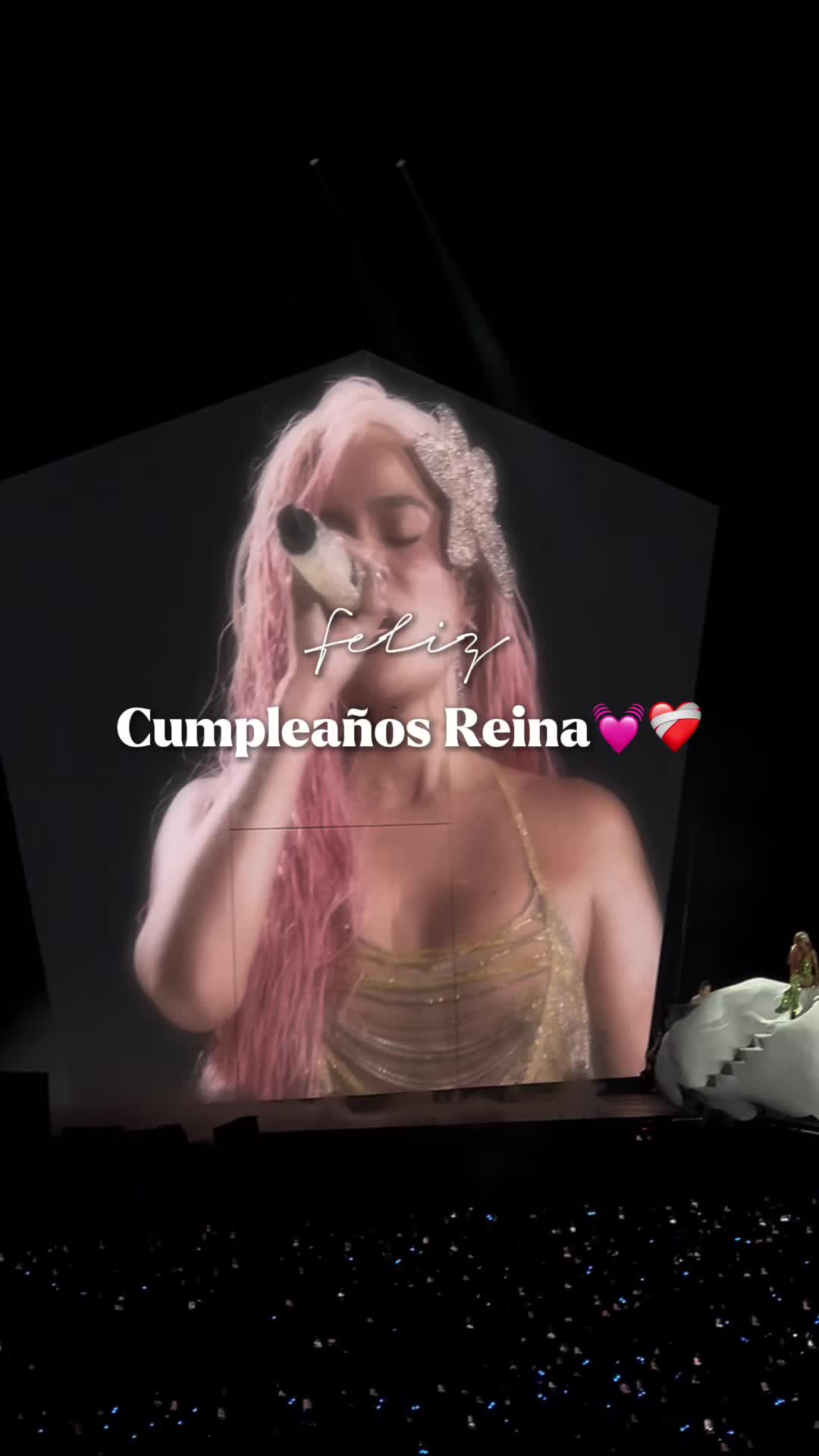 @bichota