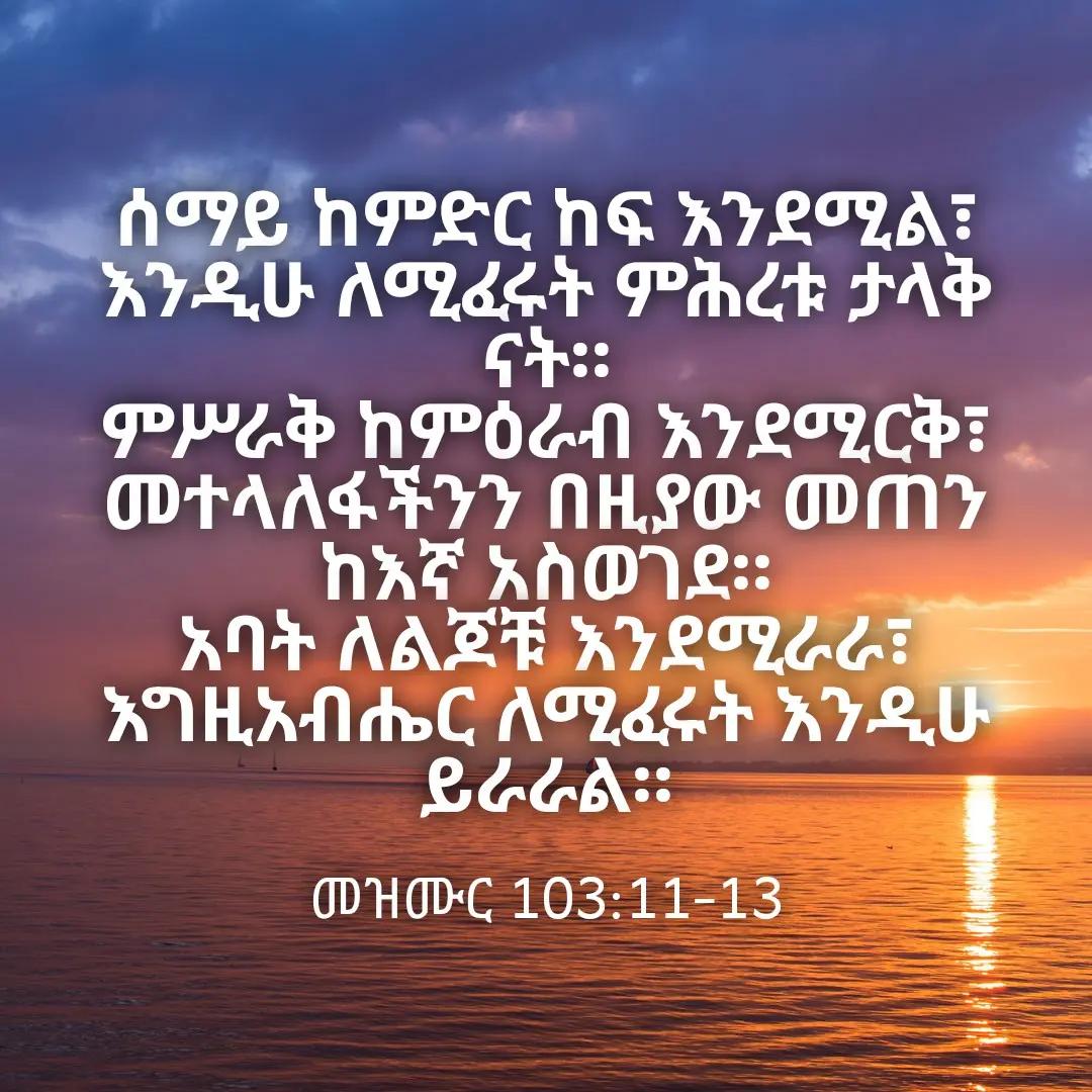 @Zewdu Mola