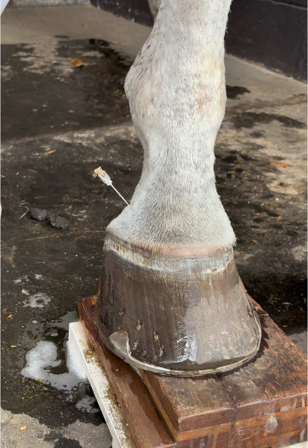 @Erin Kilburn