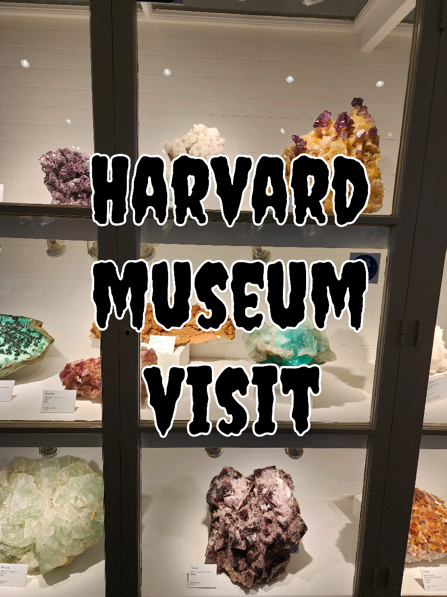 @the_mineralcrypt
