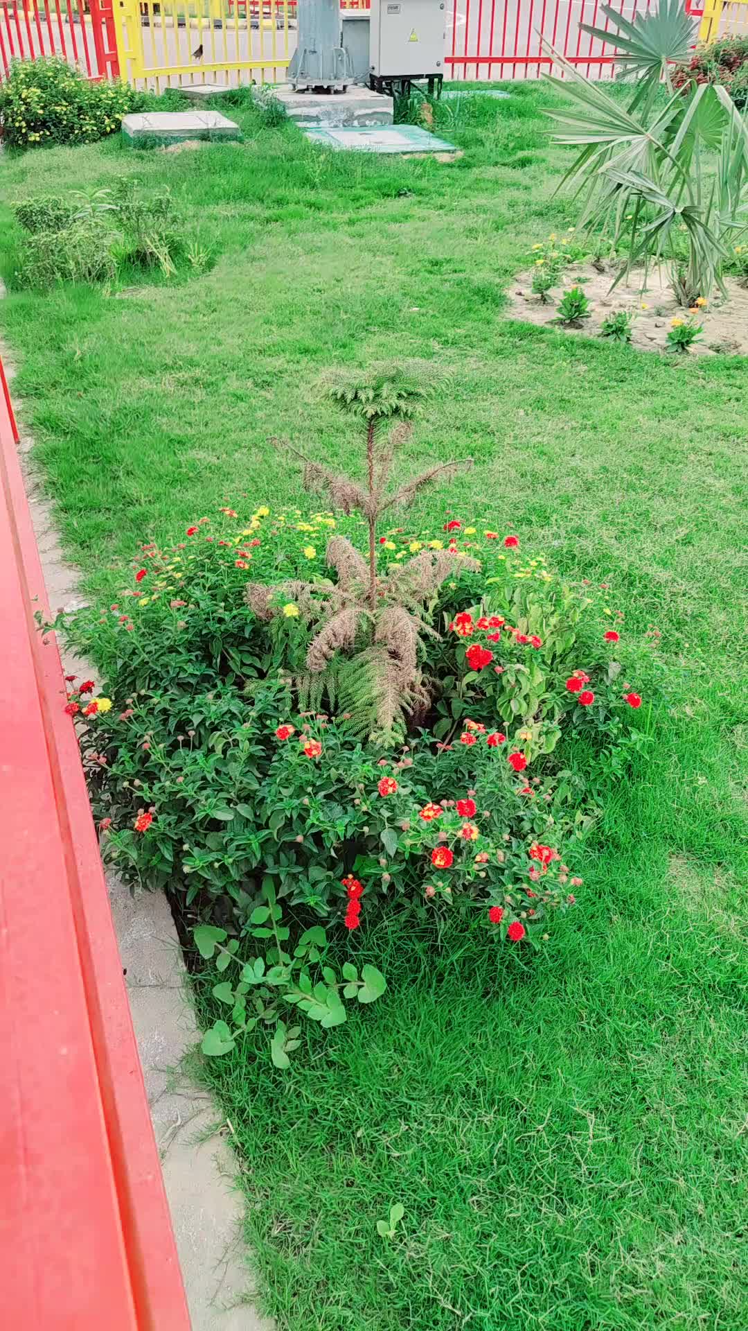 @𝔸𝕫𝕒𝕕 𝕣𝕒𝕧𝕒𝕟