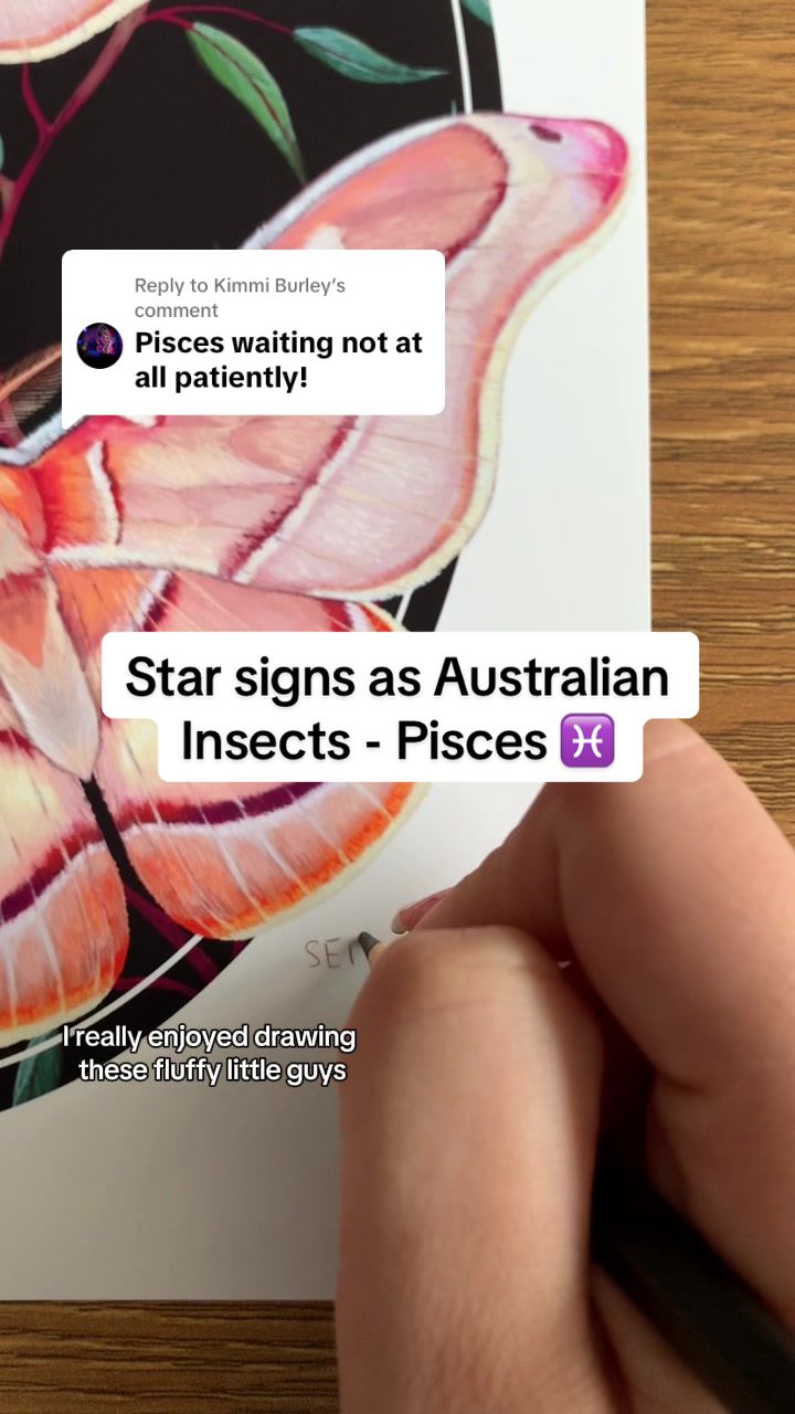 @ArtbyBiancaRose