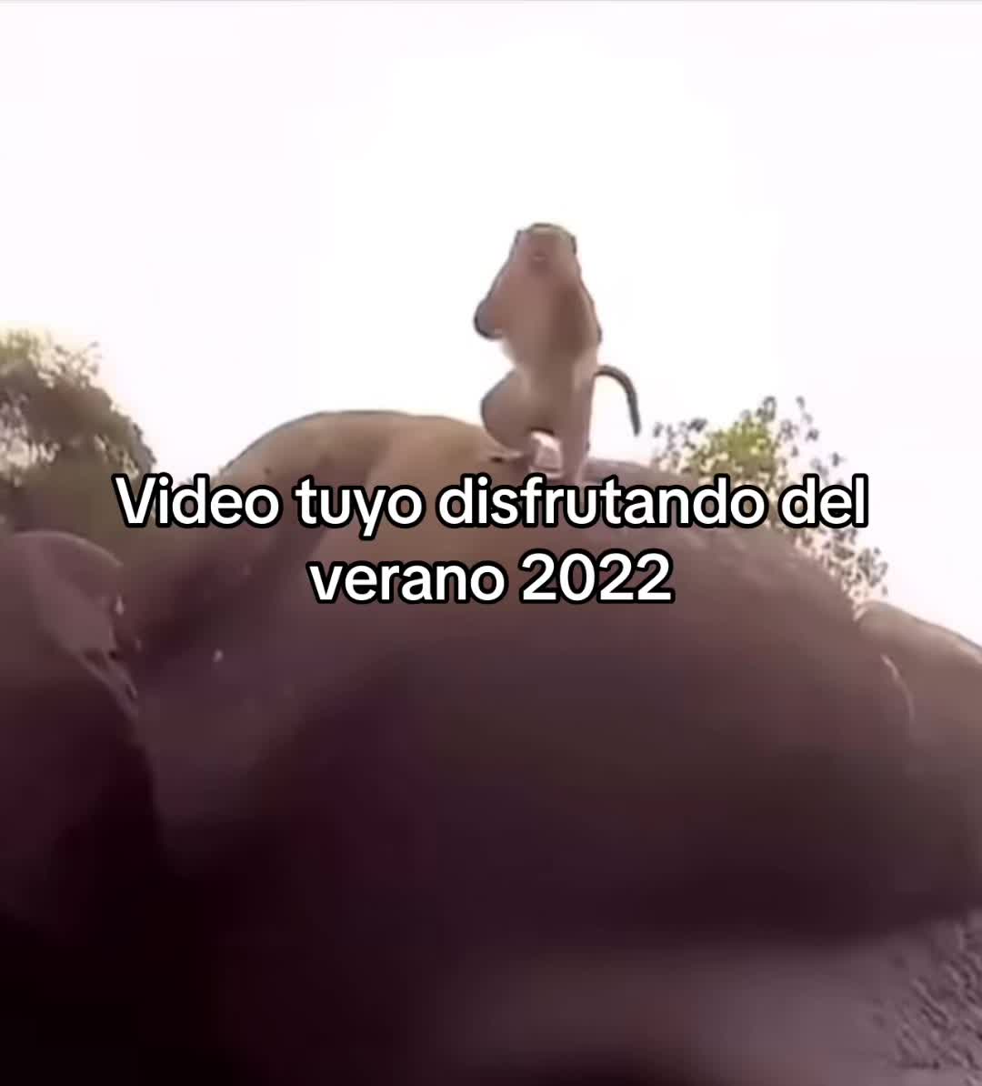 @Alambritotv