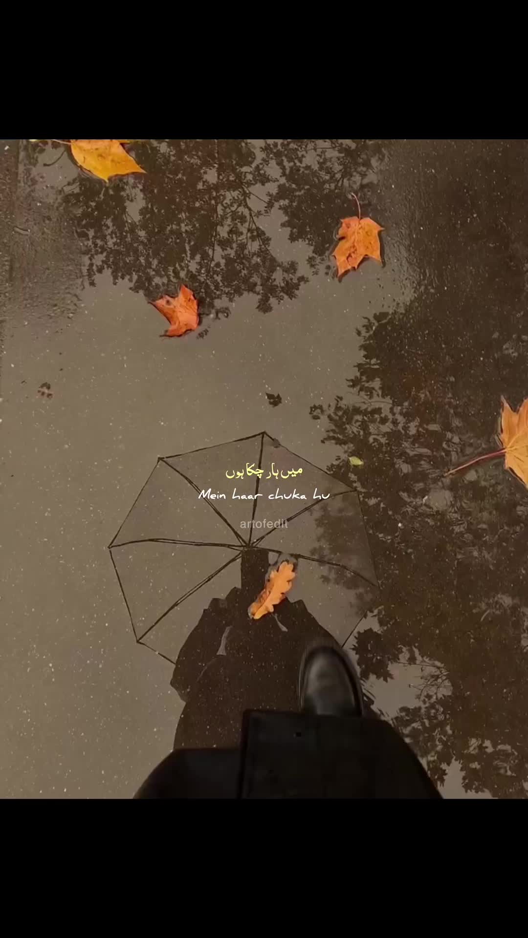 @TikTok promotion