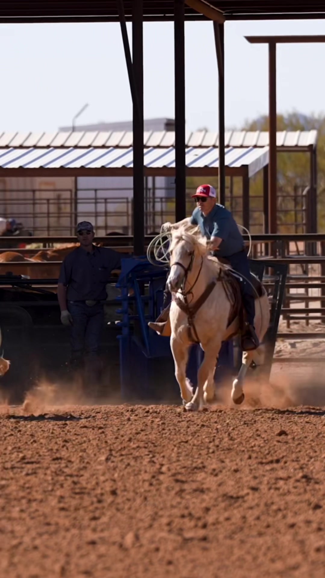 @88 Ranch Performance Horses
