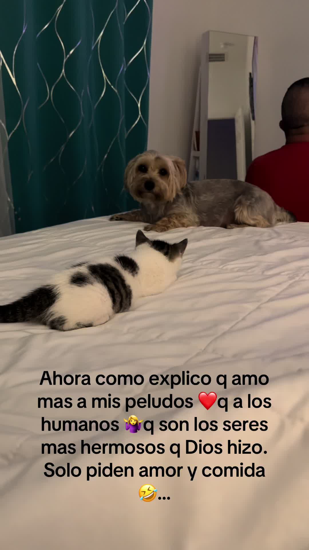 @Damaris