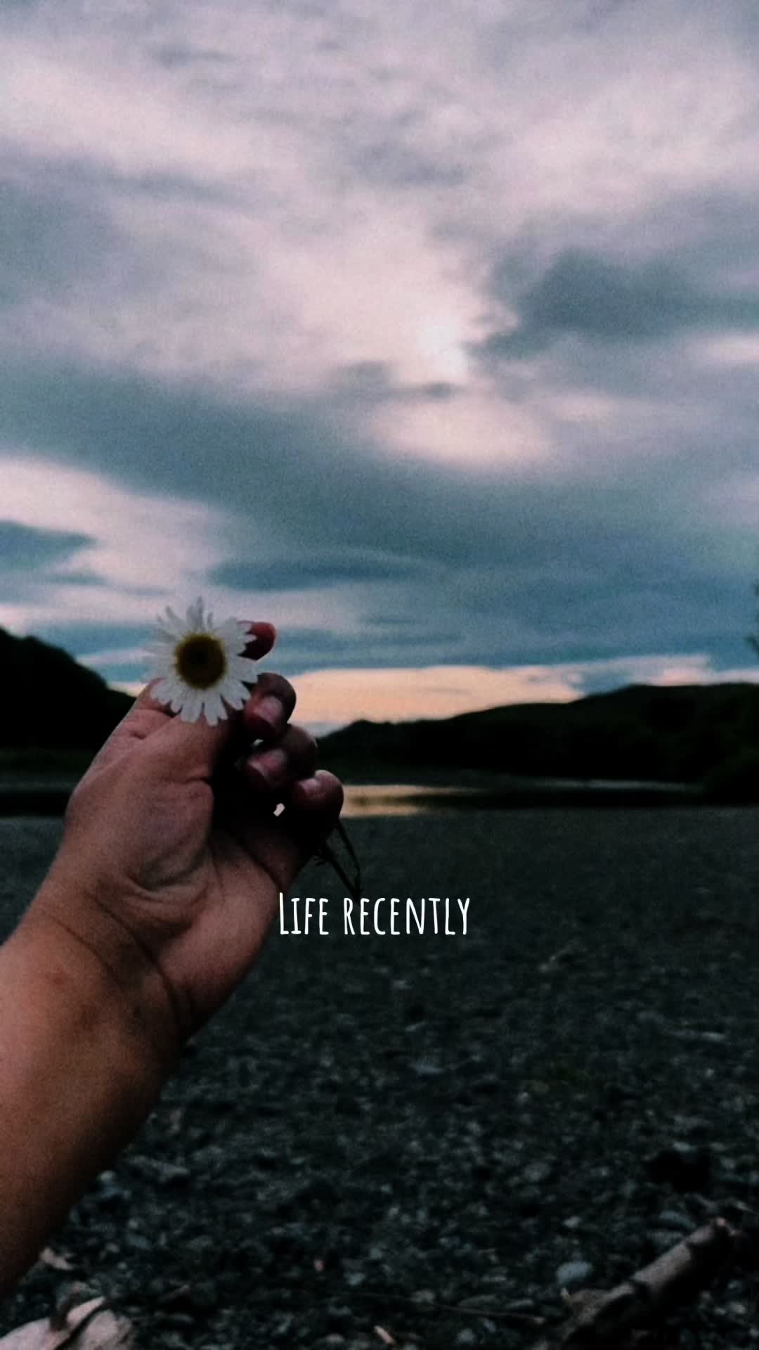 @ＬＩＬＹ🤍