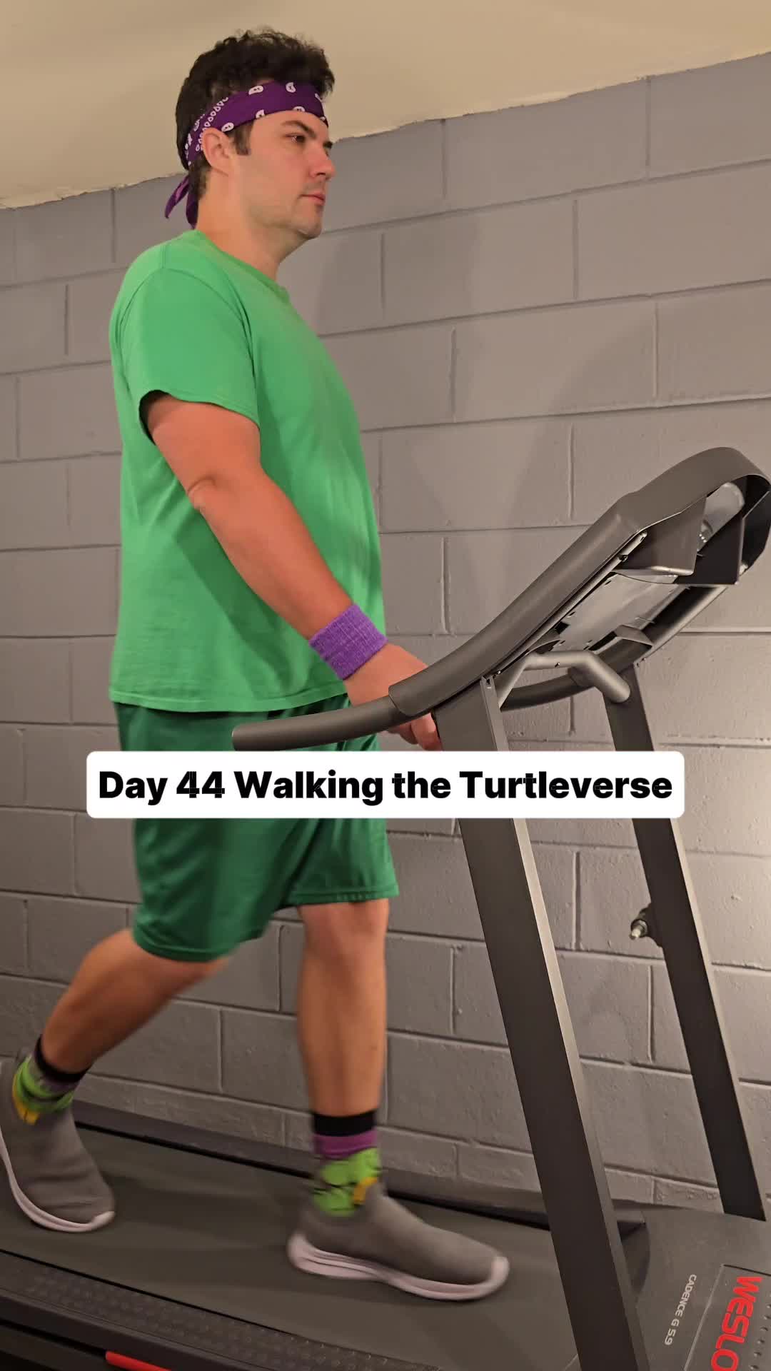 @Walking the Turtleverse