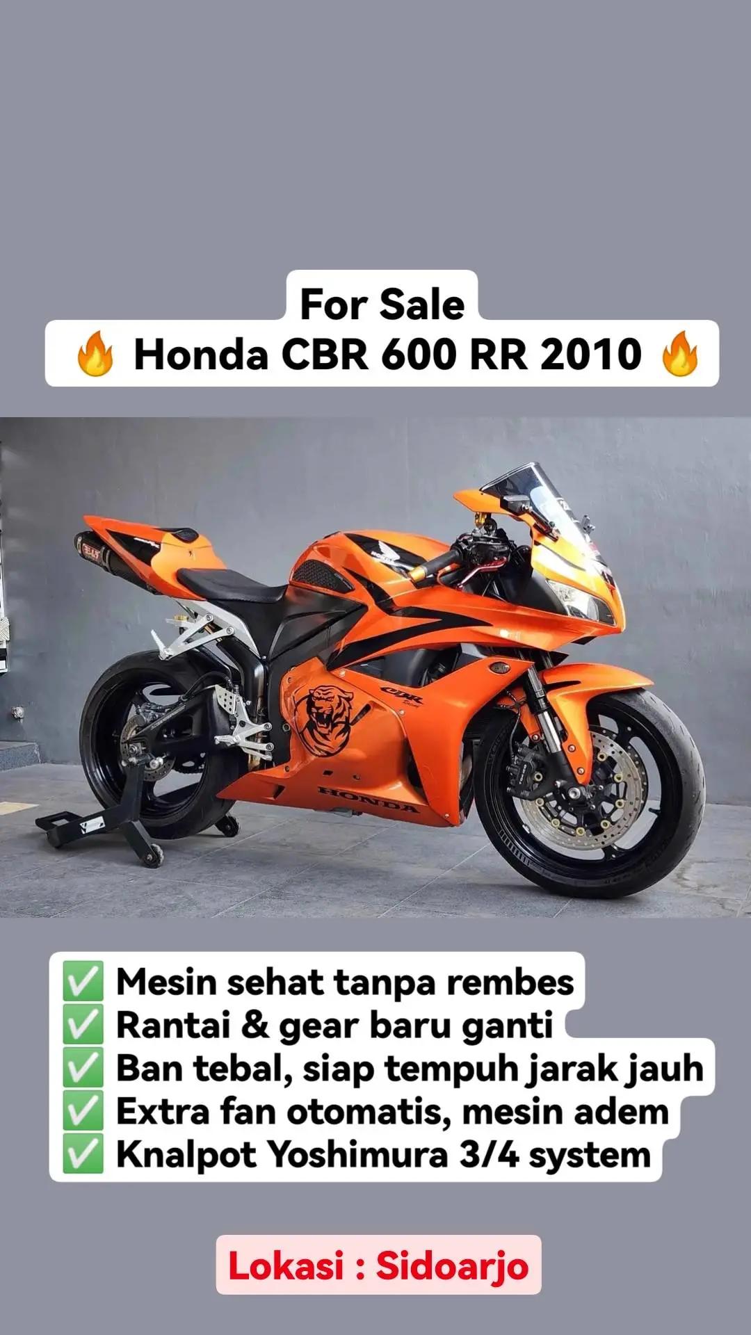@Moto Majesty