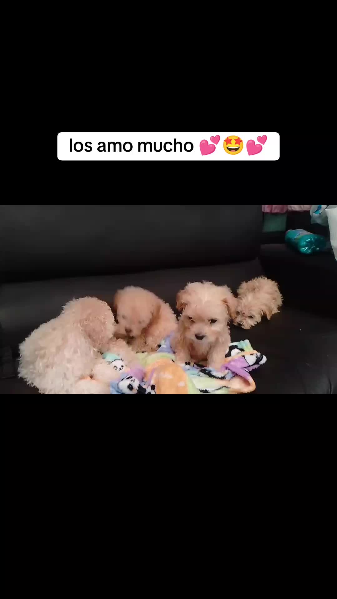 @lethangeles