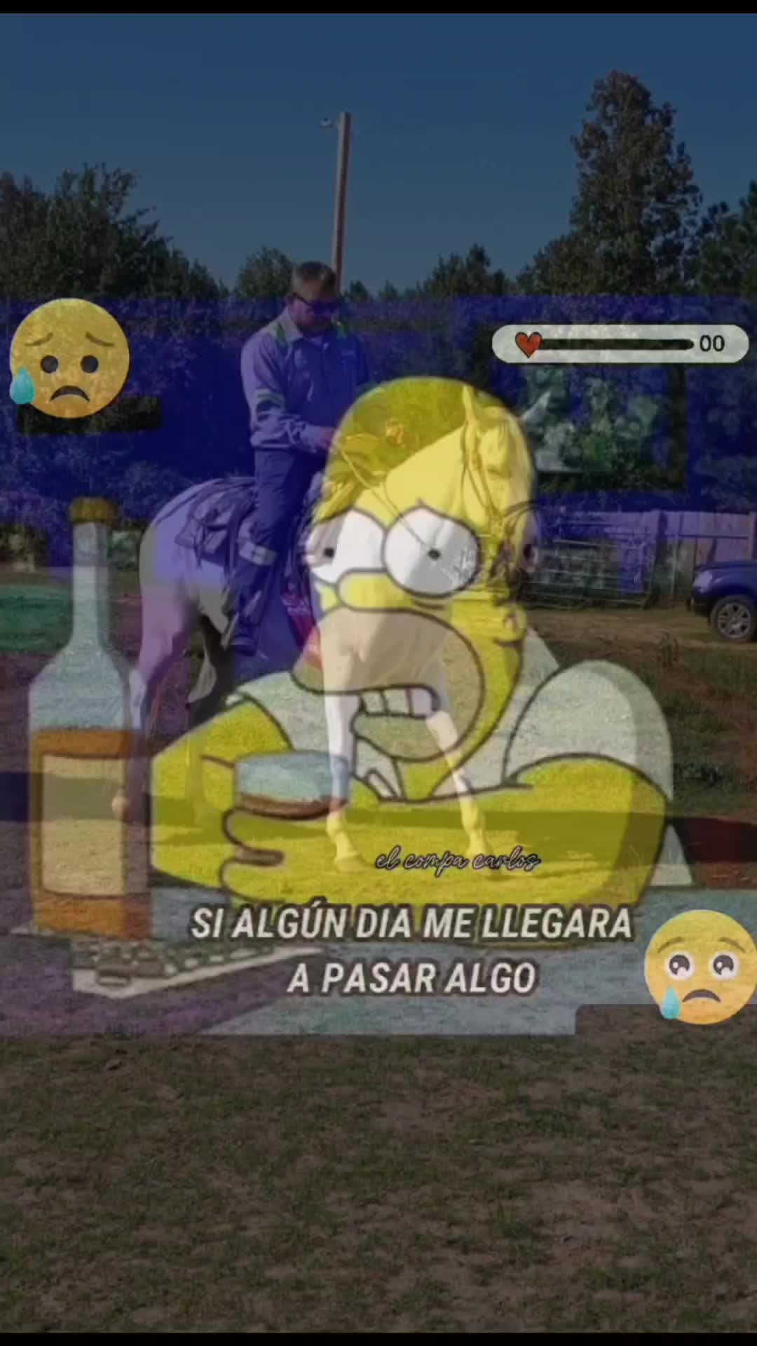 @Pablo Anguiano275