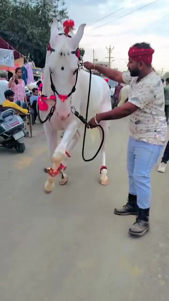 @@𝙂𝙍 𝙃𝙤𝙧𝙨𝙚 𝙁𝙖𝙧𝙢 🐴