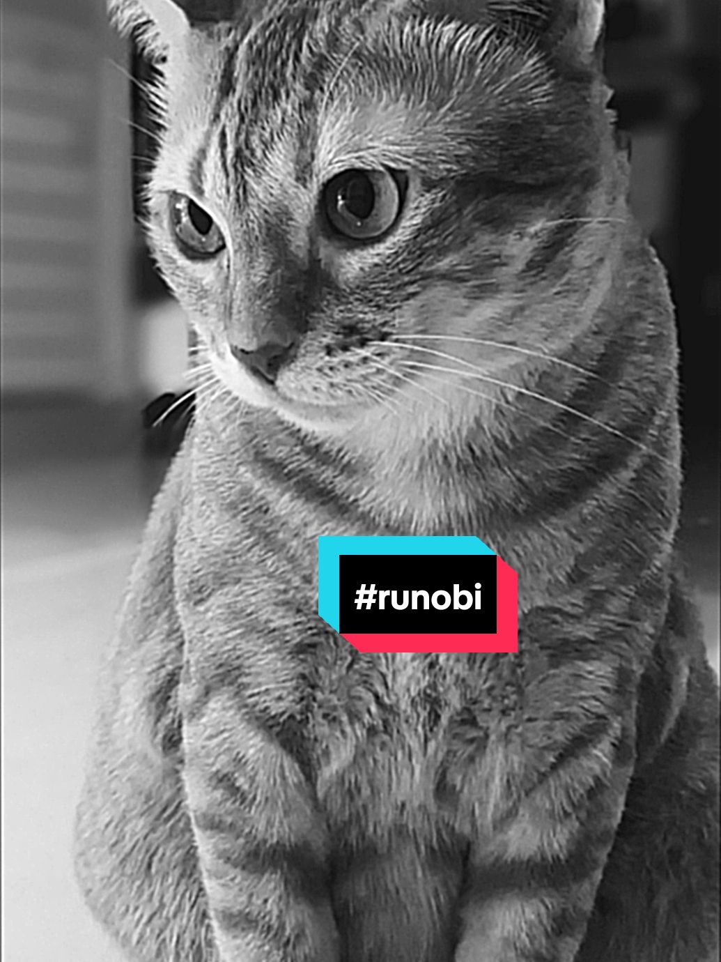 @runo