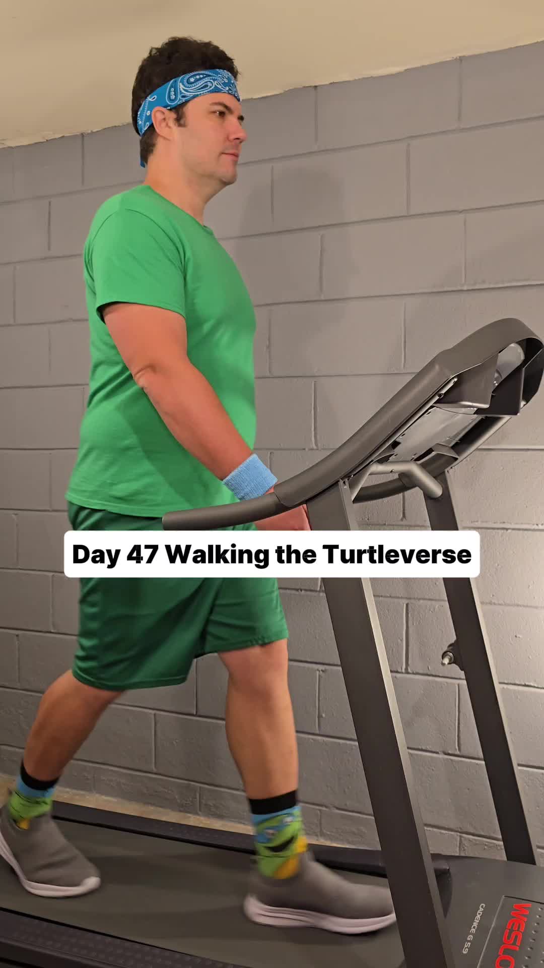 @Walking the Turtleverse