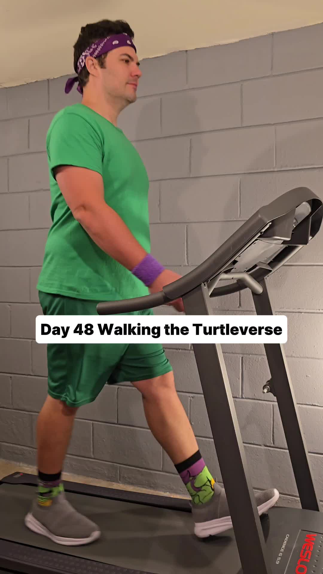 @Walking the Turtleverse