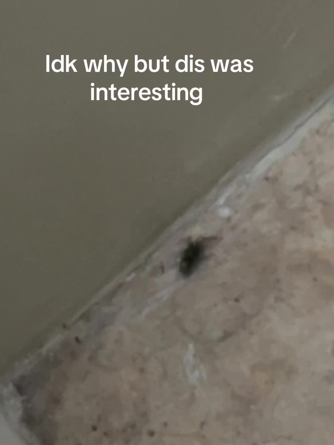 @&iquest;?&iquest;