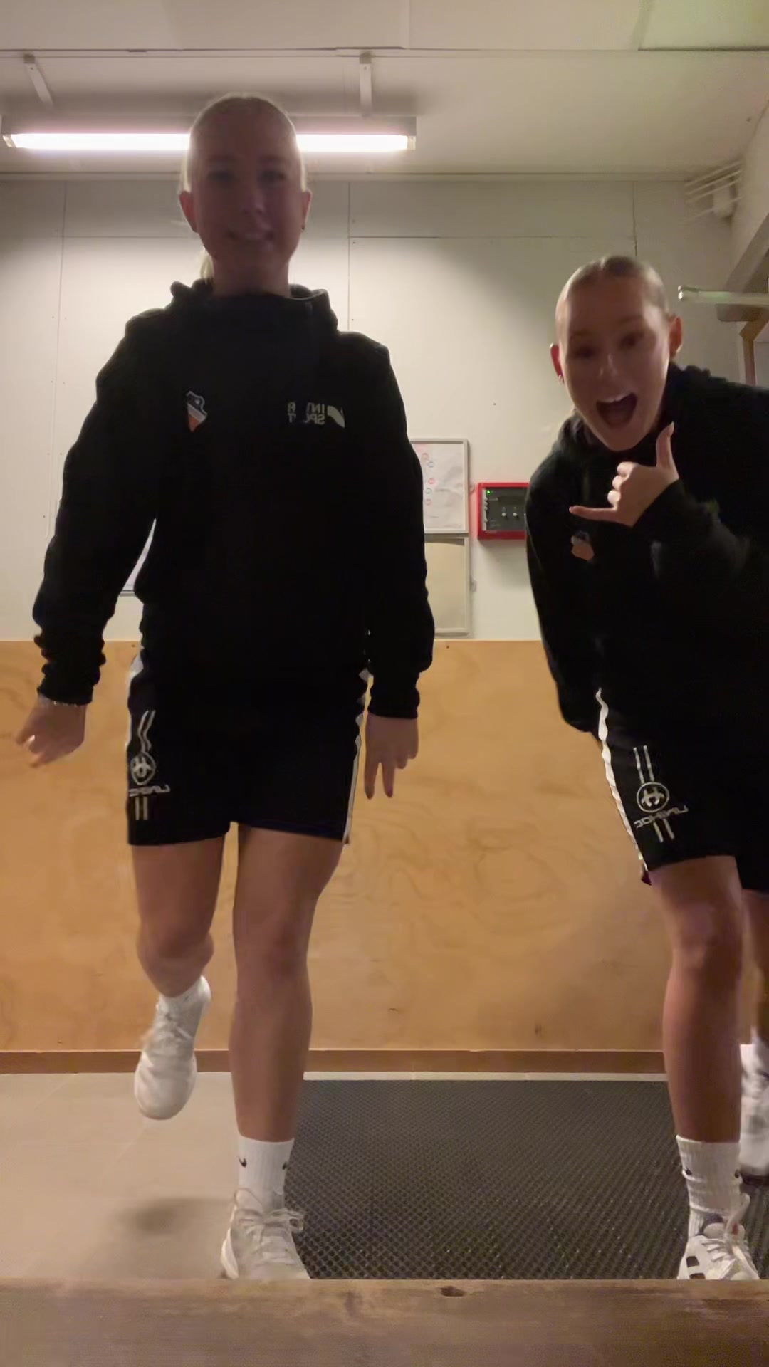 @vendelamyrman_