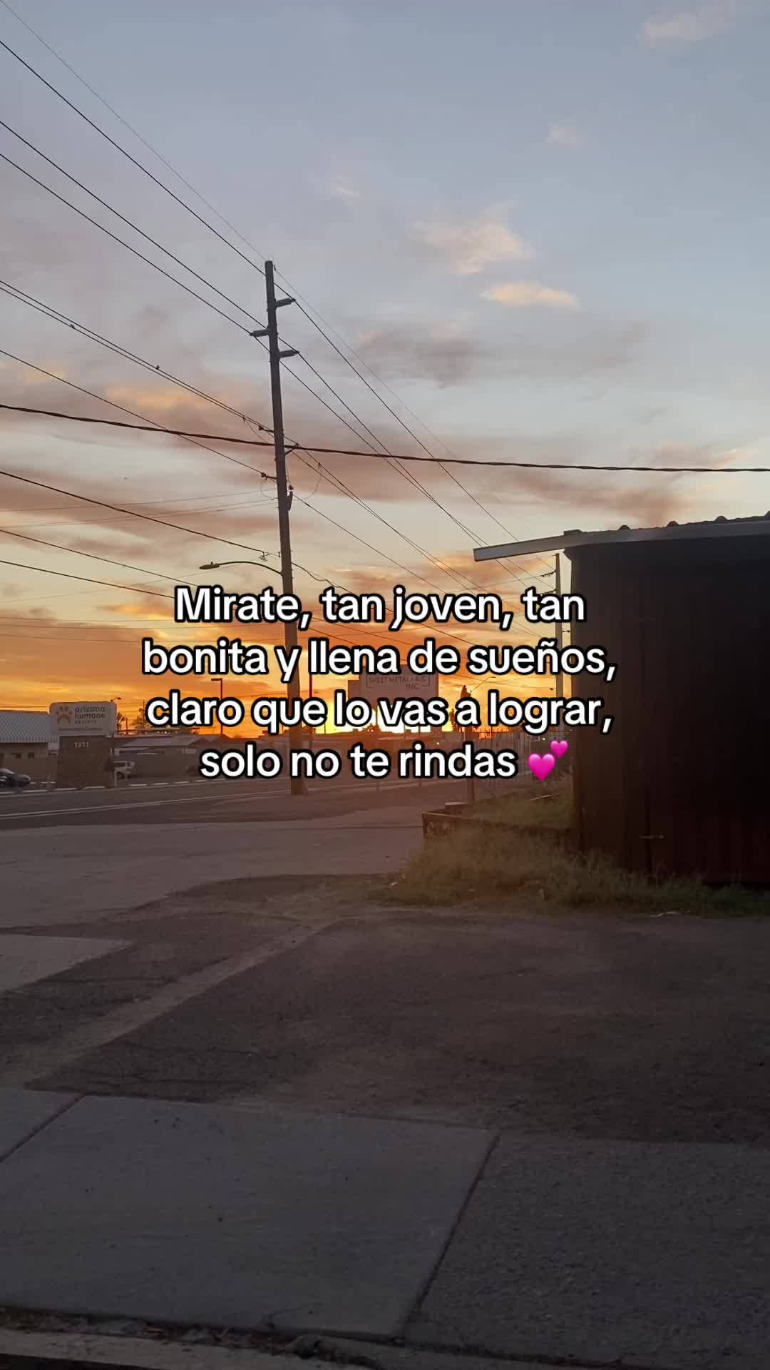 @AMY❤️⚔️👑