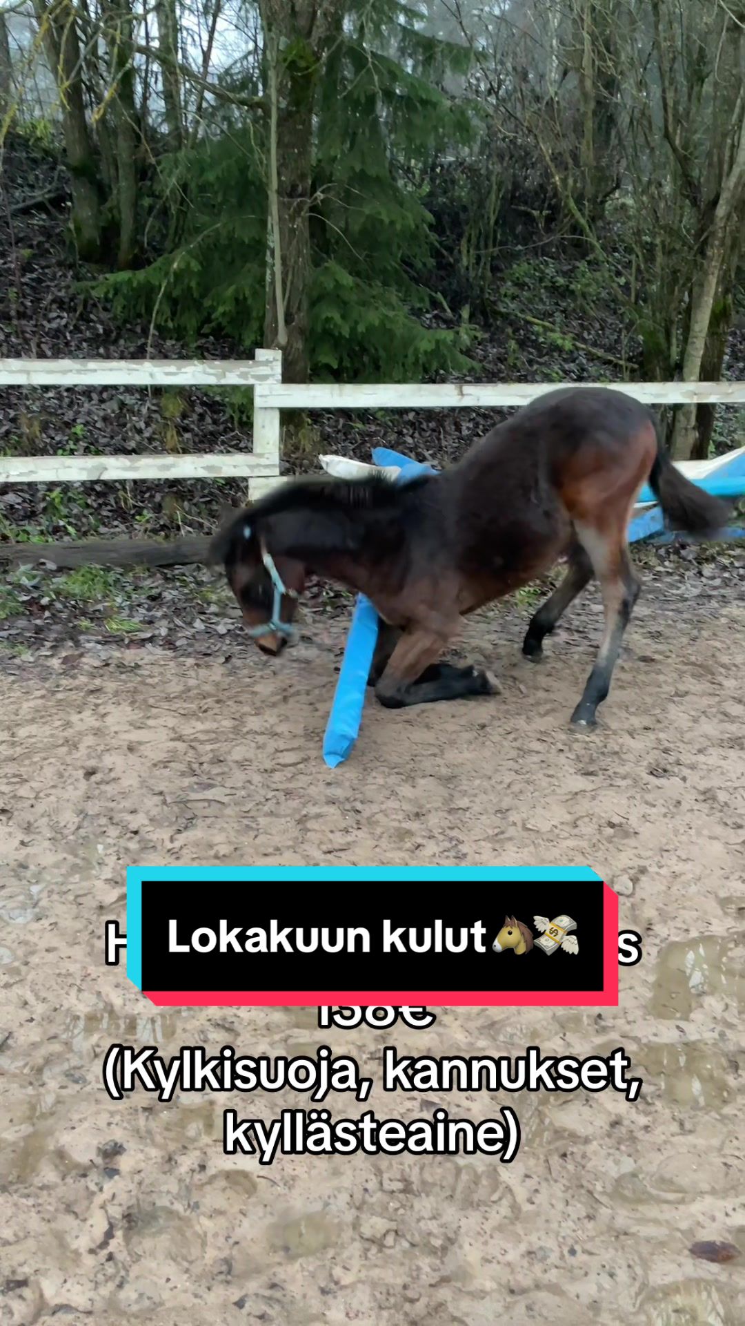 @Mansikkam&auml;ki Eventing
