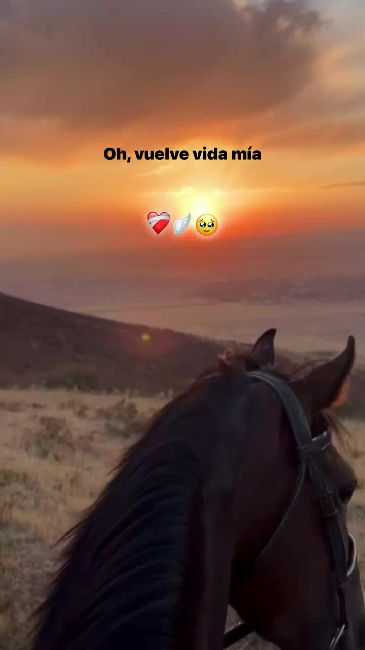 @Norte&ntilde;as sax