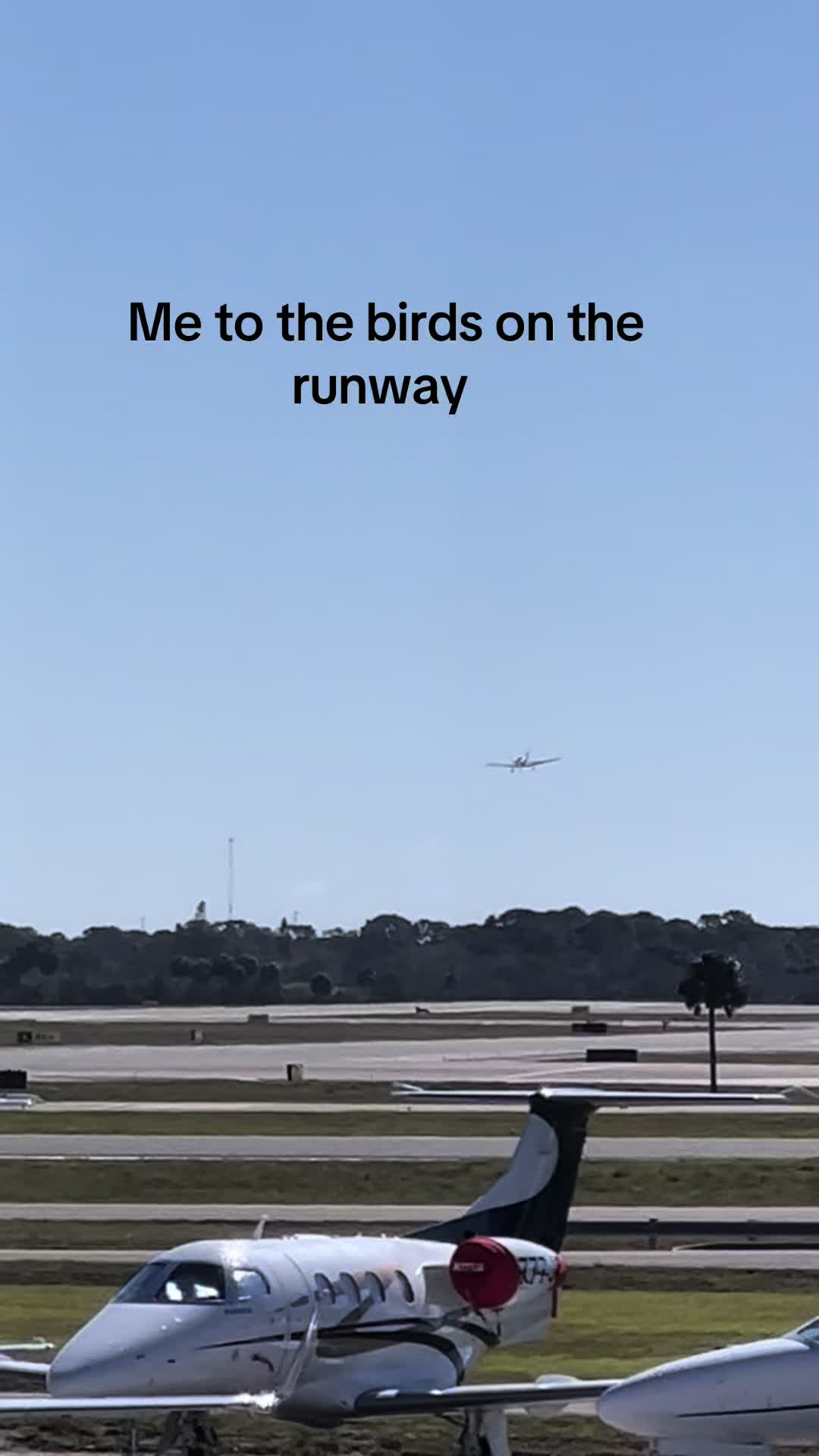 @2FL.2FLY