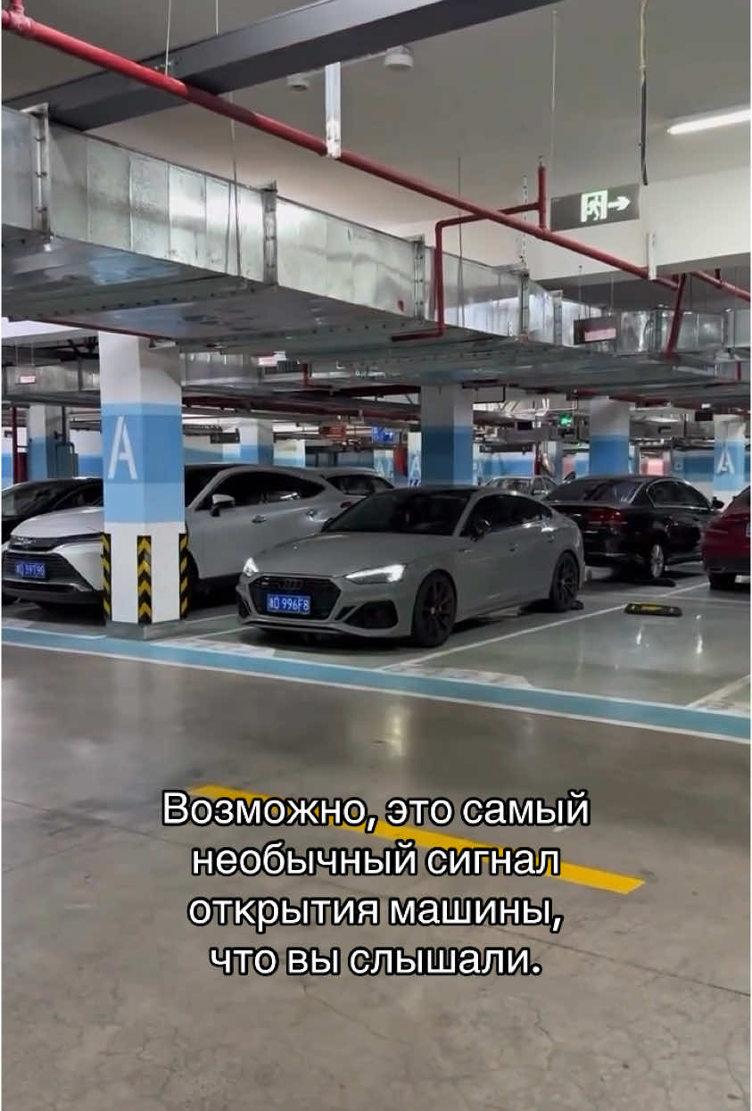 @ДИМА ЯНДЕКС