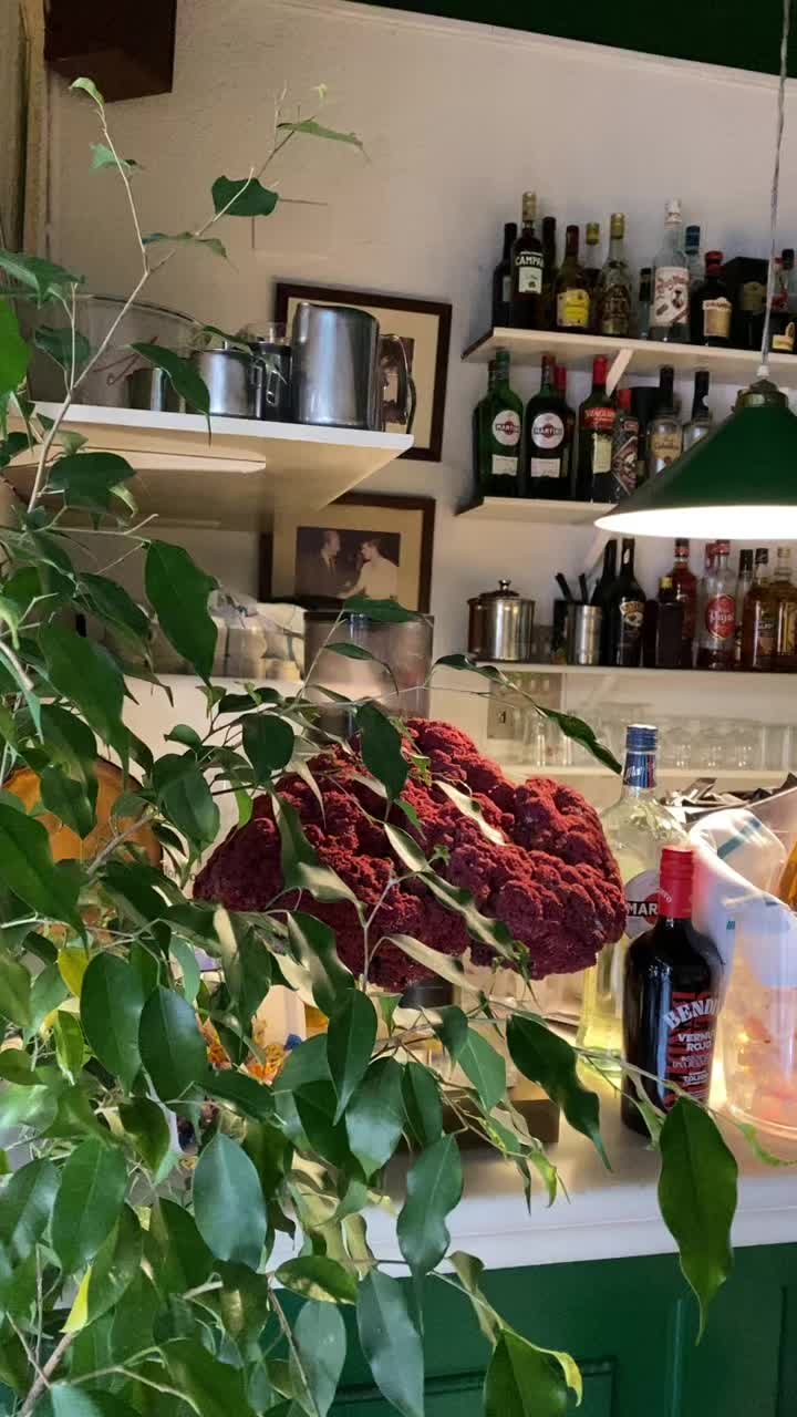 @Il Giardinetto di gracia
