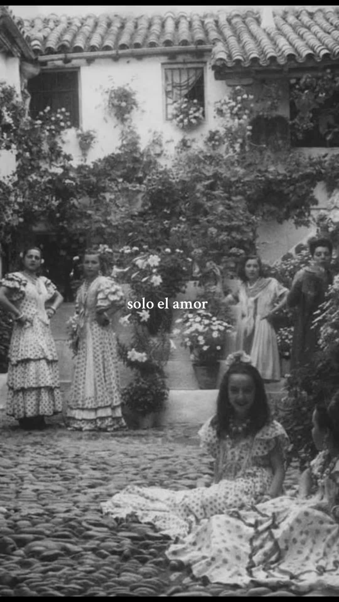 @auro 🪭