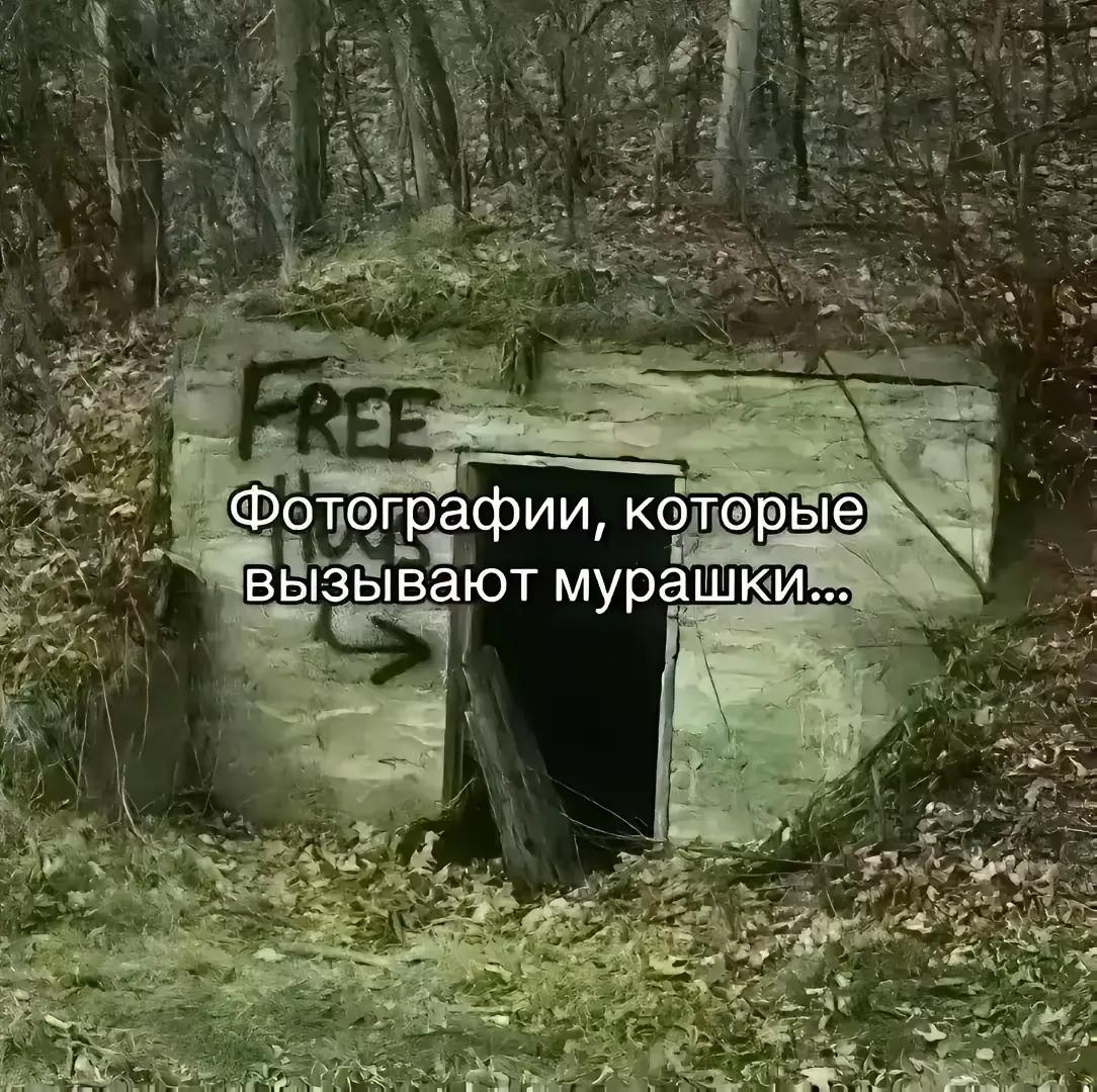 @😼