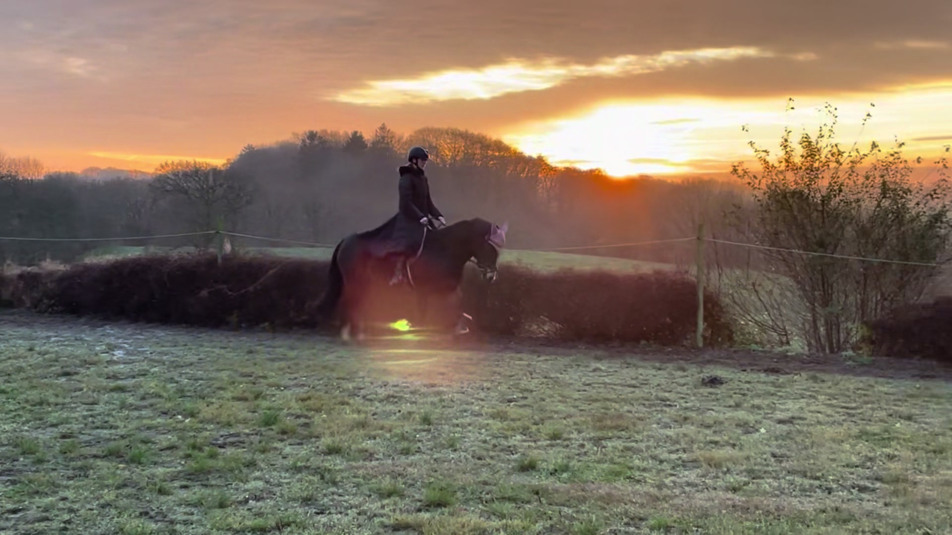 @Cathrine_equestrian🤍