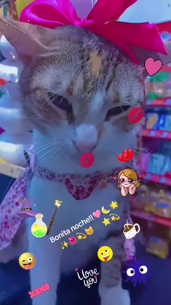 @Martita🩷🌷😺😺&hearts;️