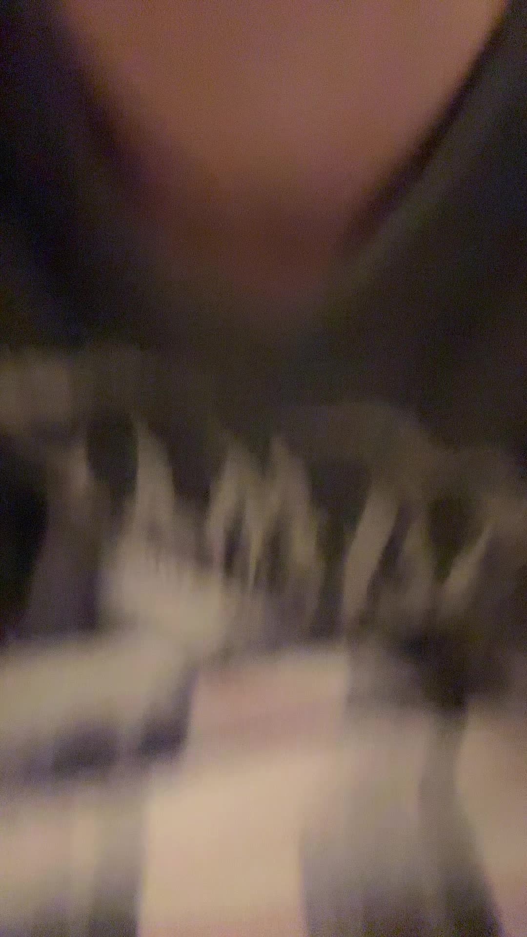 @chlo.