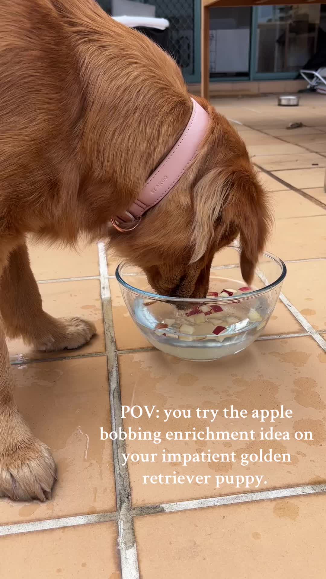 @delilah.thegoldengirl