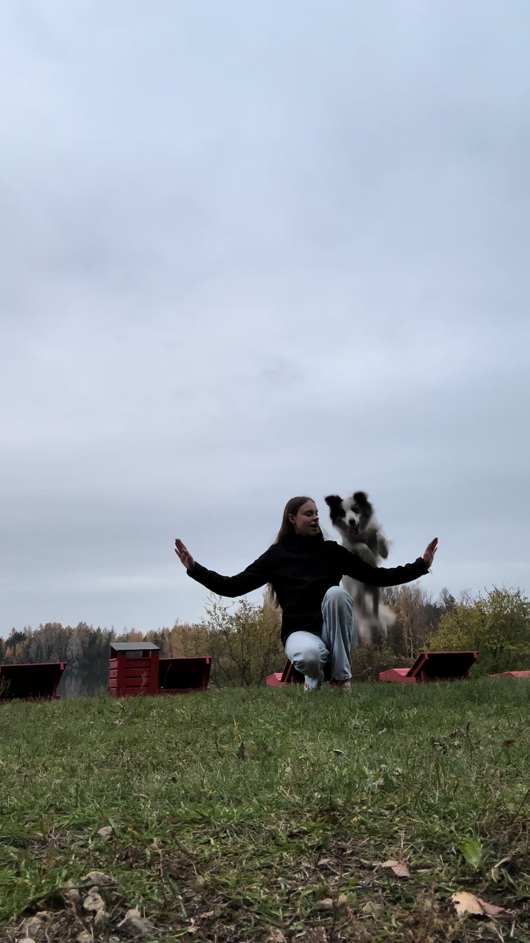 @elisathebordercollie