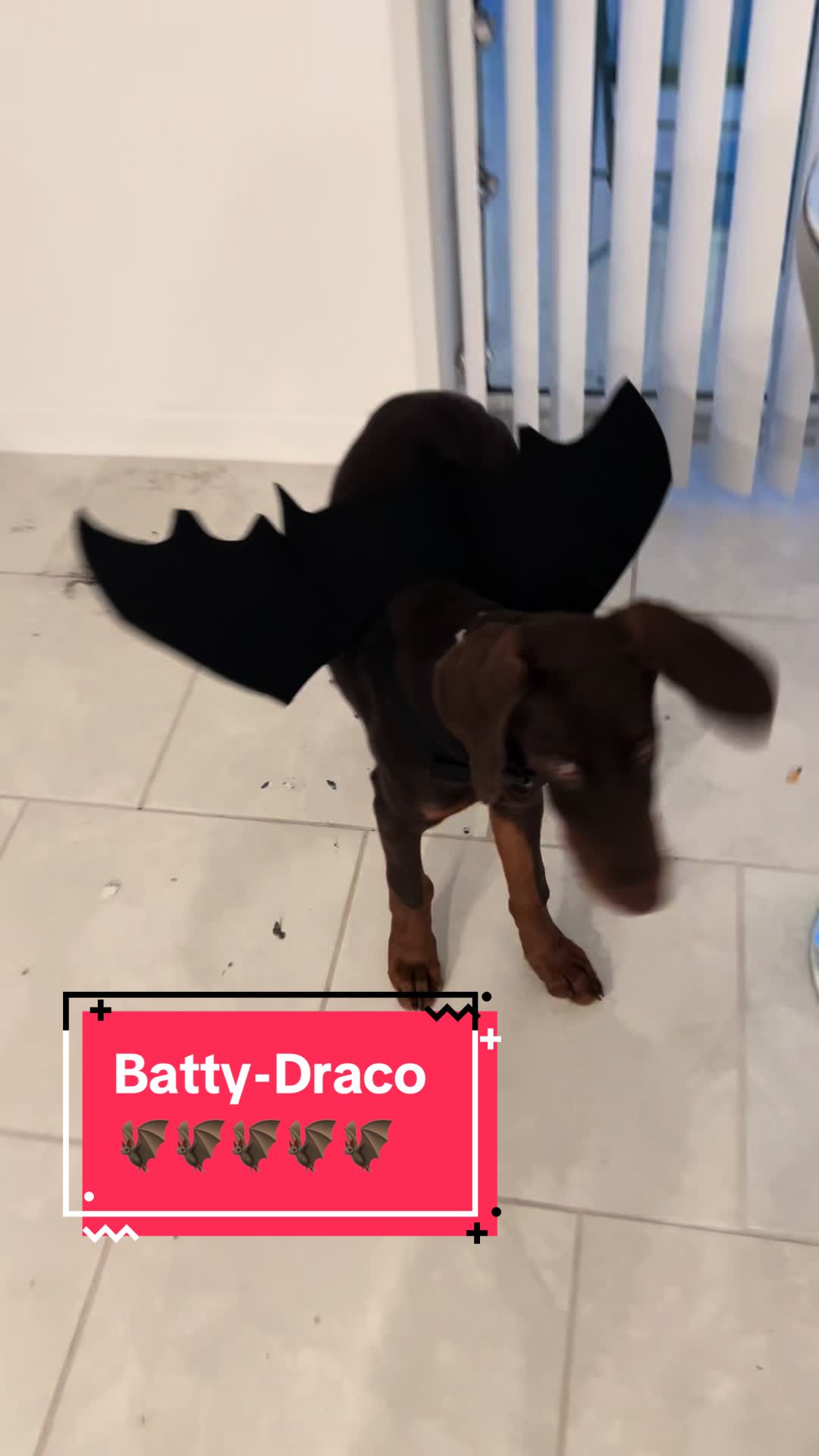 @Draco Banano