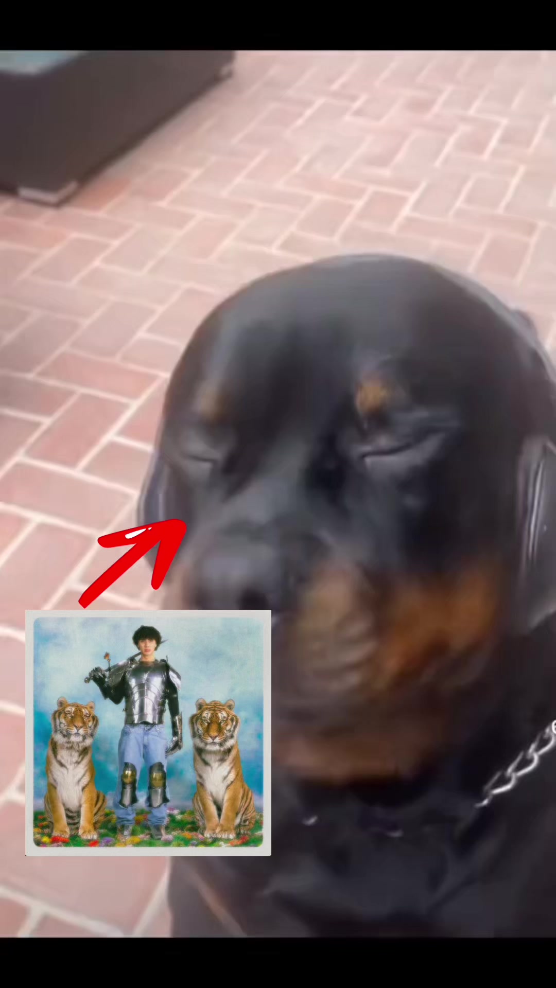 @𝓜𝓛𝓤𝓧🐯