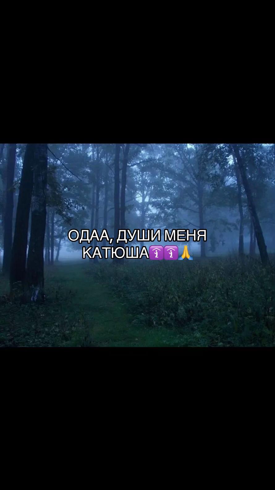 @Катя в сердце🫂