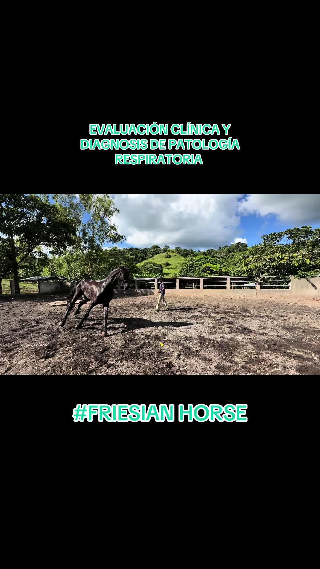 @equinovetnicaragua