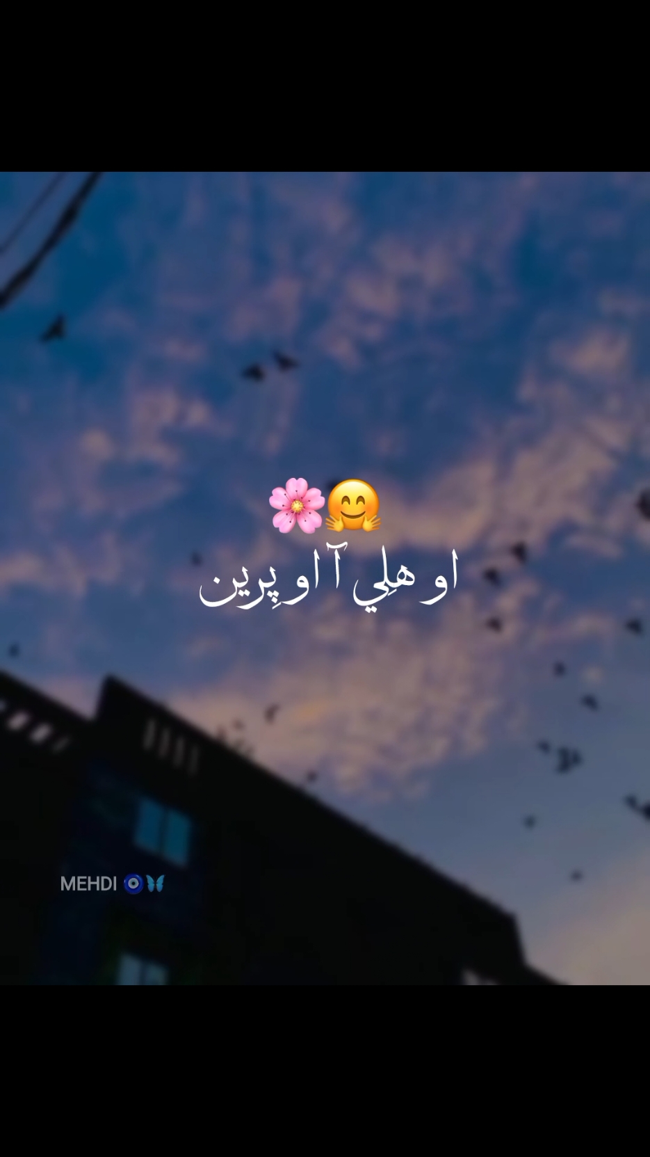 @𝙈𝙀𝙃𝘿𝙄🧿🦋